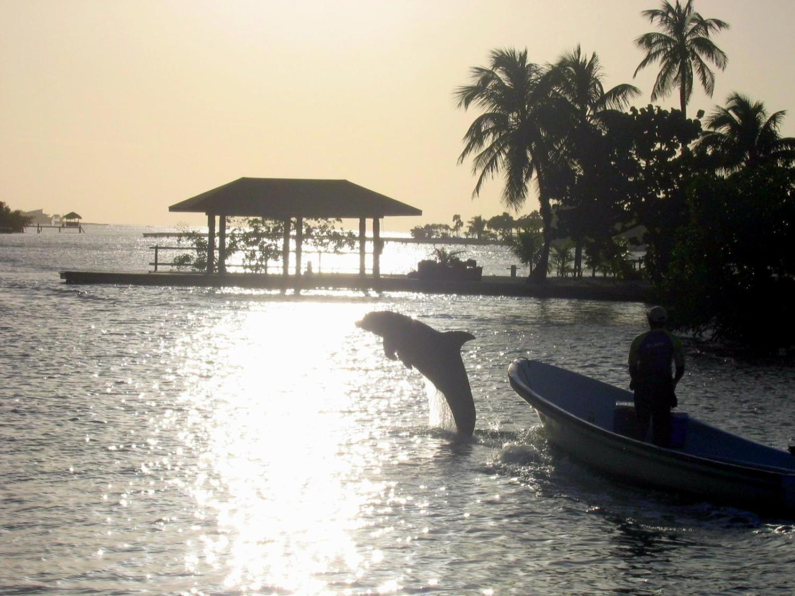 Acqua Di Mare Resort West Bay Ngoại thất bức ảnh